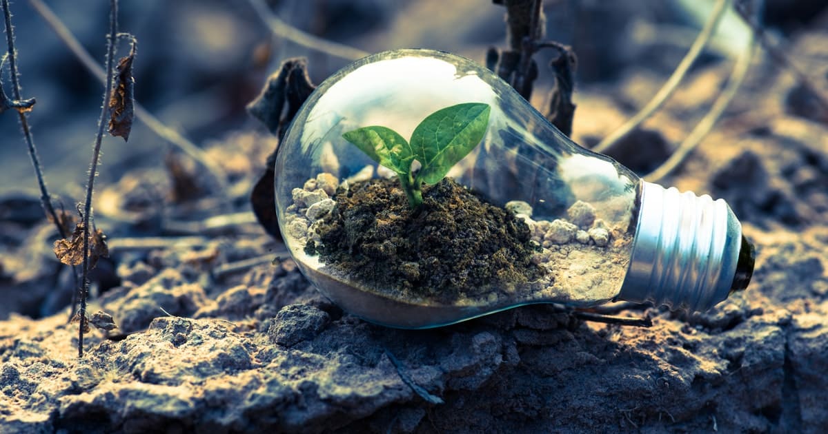 Leading the Way in Tampa for Environmental Services is Diversified Management & Construction, Inc.